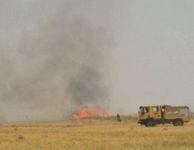 Tornquist: un incendio que se inici� en el basurero municipal afect� a un campo