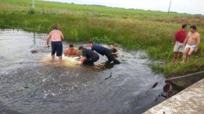 Tragedia en la costa uruguaya: cuatro muertos al caer camioneta a un arroyo