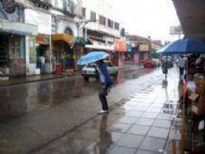 El temporal en la Ciudad de Salta s�lo dej� cables y �rboles ca�dos