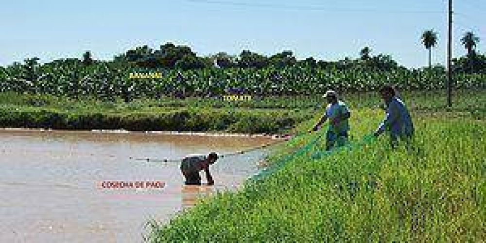 Reservorios de agua de doble prop�sito