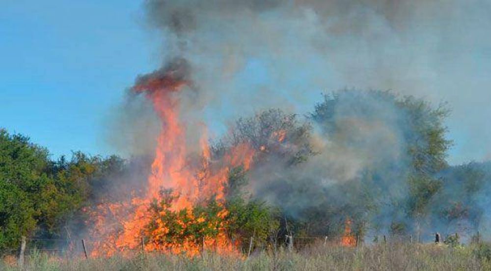 El fuego amenaza cortar la ruta de la Cr�a