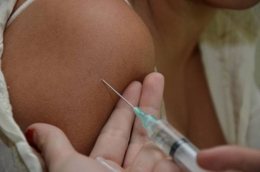 La vacuna triple acelular ser� obligatoria para las embarazadas
