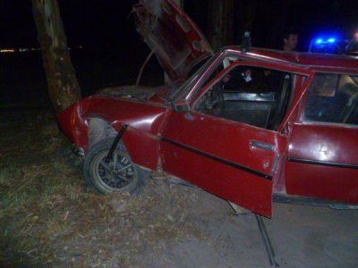 Choc� contra un �rbol: qued� atrapado en el auto y debieron rescatarlo