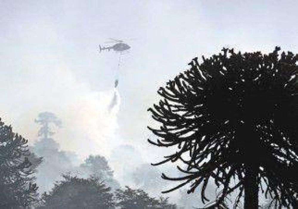 Fuego descontrolado en Moquehue 