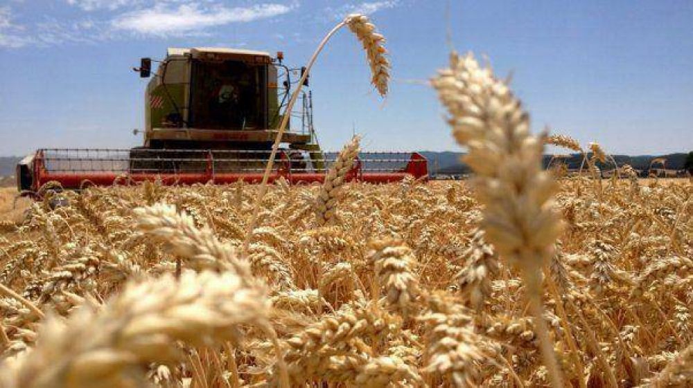 La Mesa de Enlace calific como "falso" el anuncio de liberar exportaciones de trigo