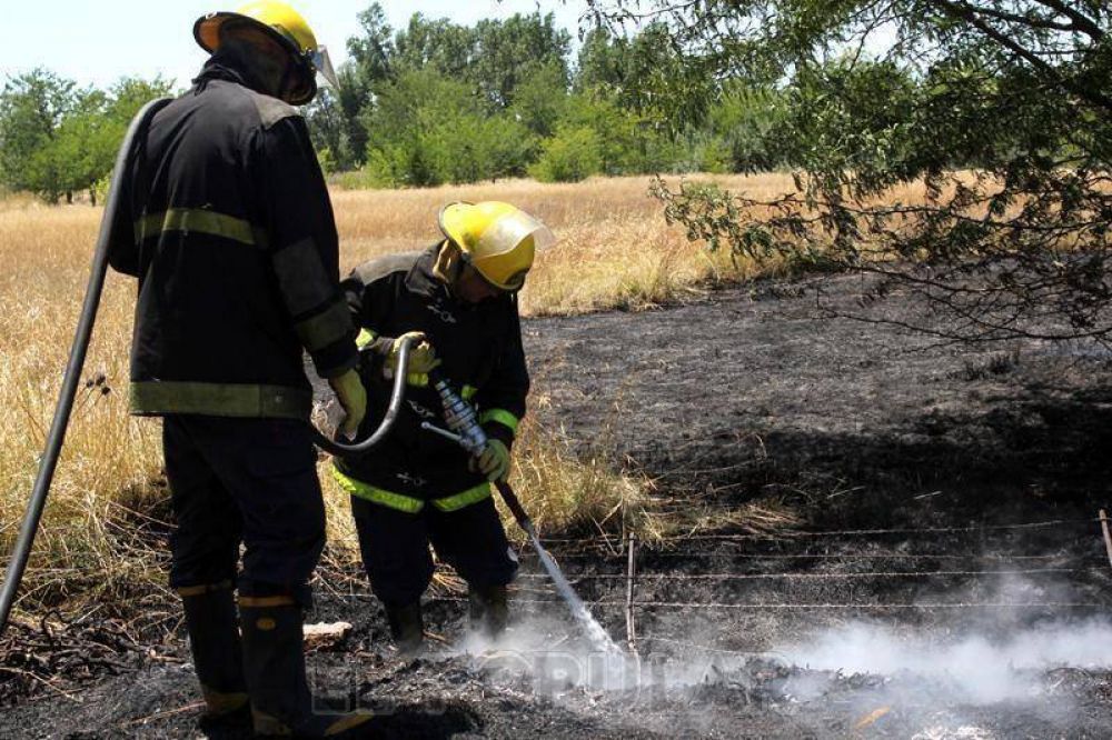 Se produjo un incendio en un predio con pastizales