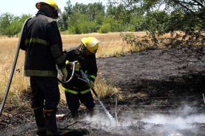 Se produjo un incendio en un predio con pastizales