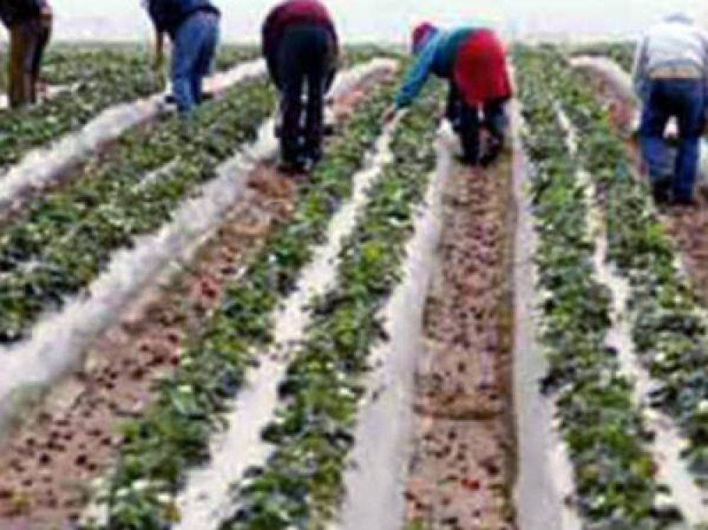 Rescataron 106 trabajadores en un campo San A. de Areco. Tambi�n Z�rate ser�a noticia.