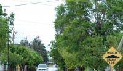 Contin�an los trabajos de asistencia y limpieza