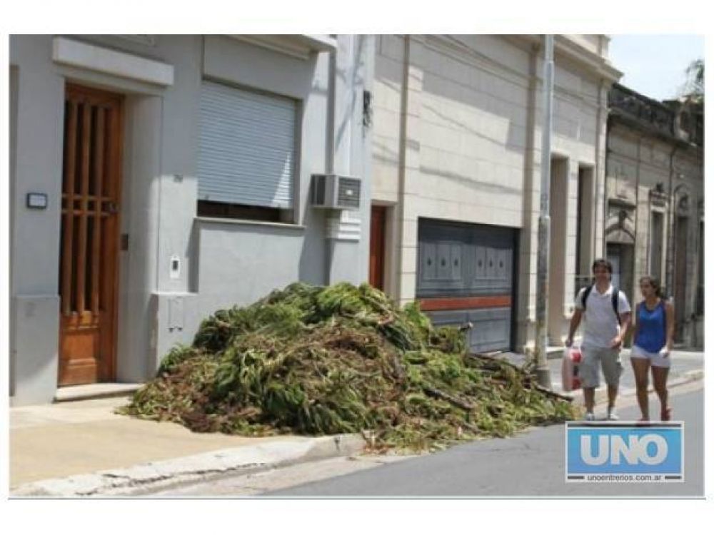 Una vereda de calle Belgrano est� clausurada por las ramas