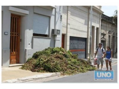 Una vereda de calle Belgrano est� clausurada por las ramas