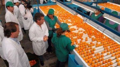 Destacan la evoluci�n de las exportaciones de las Pymes en Entre R�os	 