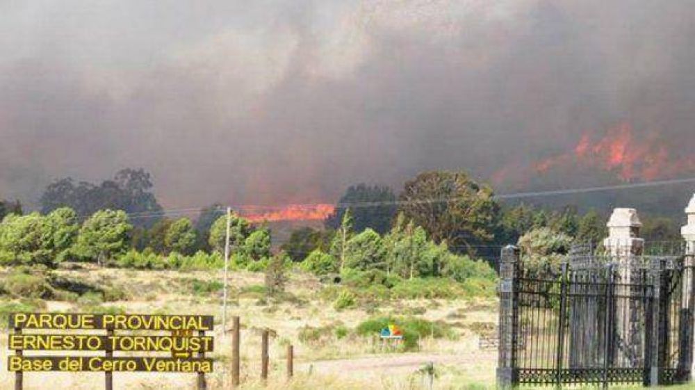 Virginia Linares pidi� fondos de la Ley de Bosques para recuperar los incendios forestales de la regi�n
