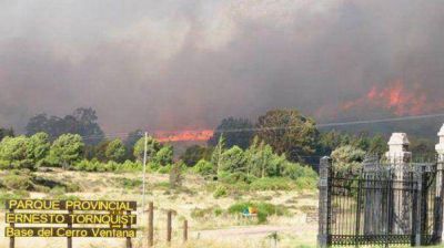 Virginia Linares pidi� fondos de la Ley de Bosques para recuperar los incendios forestales de la regi�n