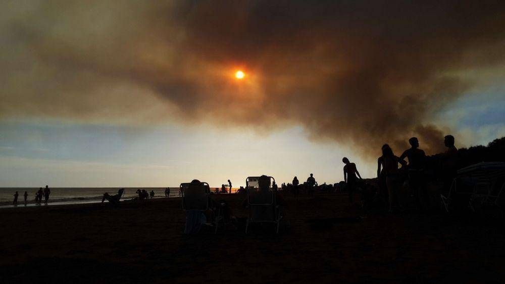 Se quemaron 7.000 hect�reas en Pehuen Co
