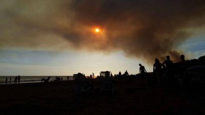 Se quemaron 7.000 hect�reas en Pehuen Co