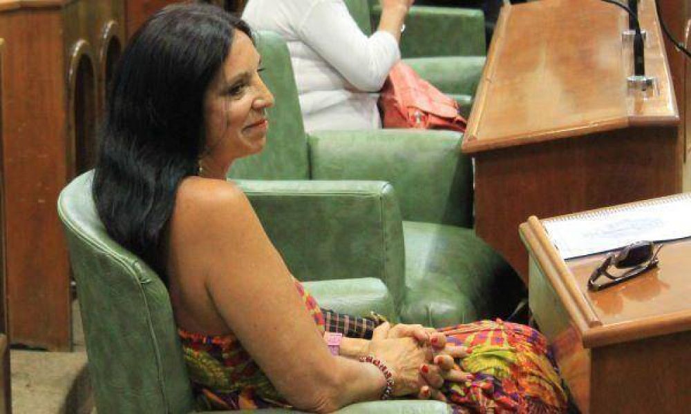 Durrieu: �Es una irresponsabilidad que pretendan cambiar nuestro entorno sin escuchar a nadie�
