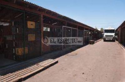 Prorrogan las subas de alquileres a comerciantes