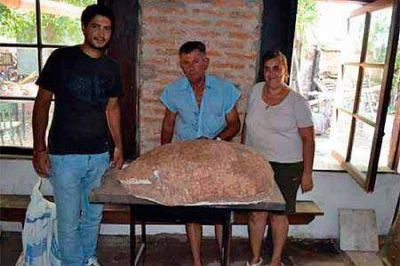 Charata: Hallaron restos f�siles de un gliptodonte