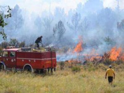 Incendios en Alumin�: Piden retirar a los animales de la zona