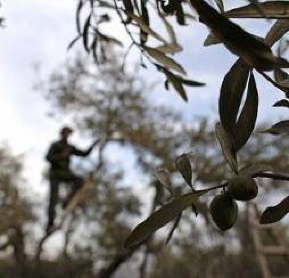 El gobierno analiza alternativas para asistir al agro riojano