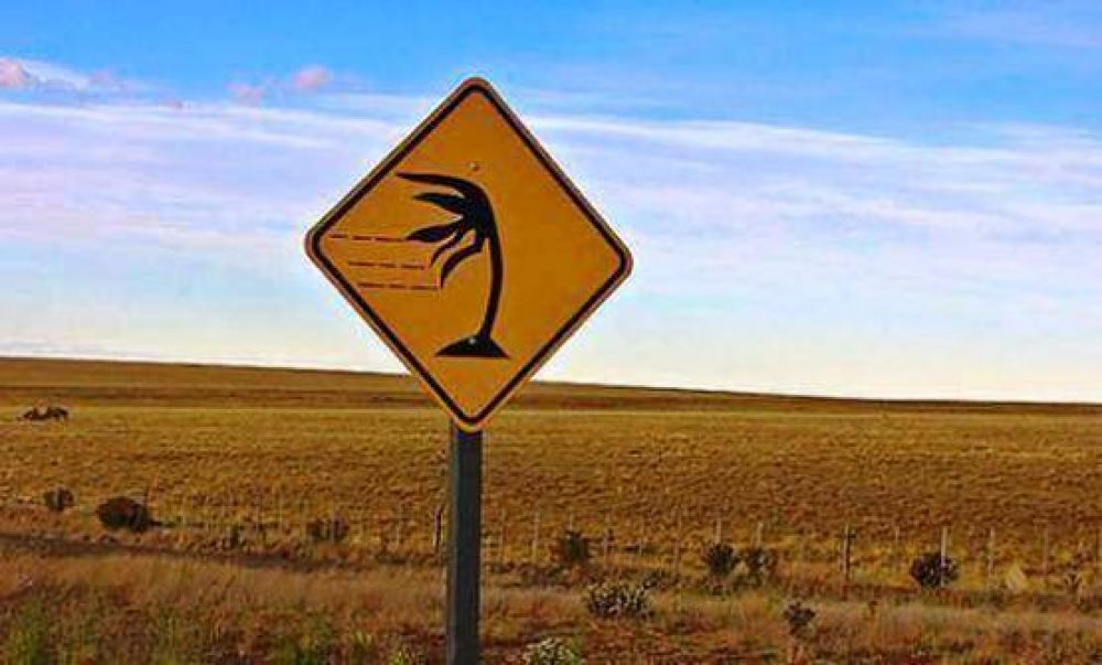Alerta meteorol�gico por vientos intensos