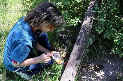 Nuevas larvas del mosquito del dengue en Barrio Luj�n