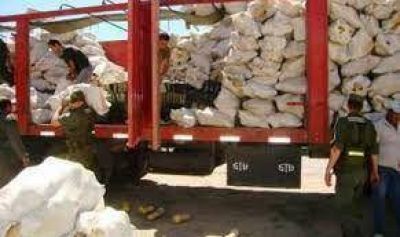 Marihuana: Secuestraron 315 kilos