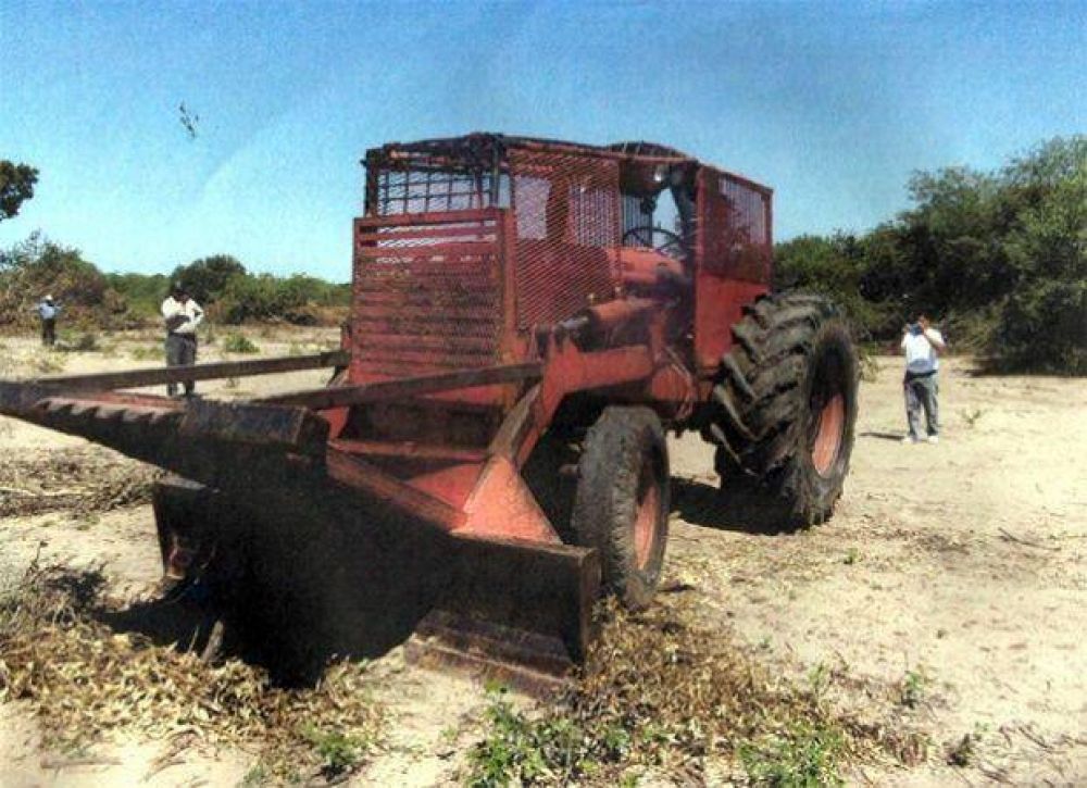 La asociaci�n Meguesoxochi denunci� que los criollos desmontan para hacer chacras
