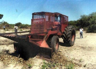 La asociaci�n Meguesoxochi denunci� que los criollos desmontan para hacer chacras