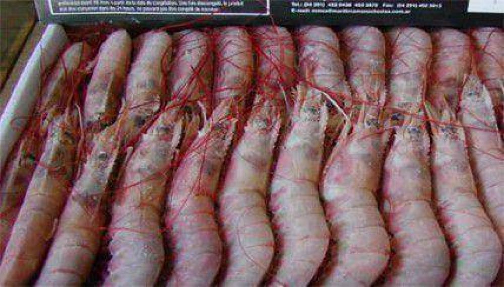 Comienza la venta de pescados y mariscos a precios populares