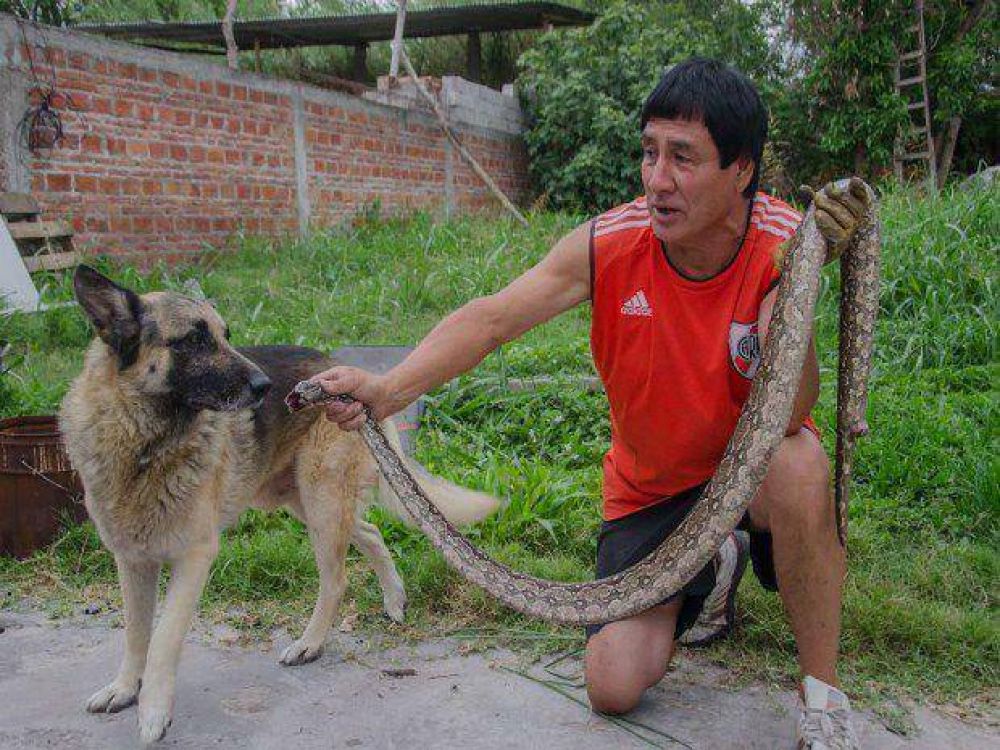 Un vecino encontr� una v�bora en su casa