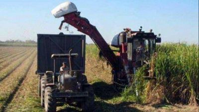 Seg�n Jos� Alperovich, la zafra comenzar� con una bolsa a $ 230