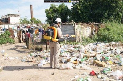 Verano sin dengue: analizaron 250 febriles y ninguno dio positivo