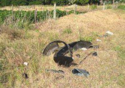 Una mujer falleci� tras un accidente esta ma�ana