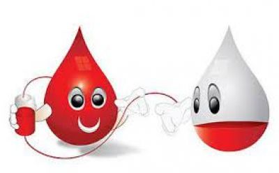 Campa�a solidaria �Ramallo dona sangre�