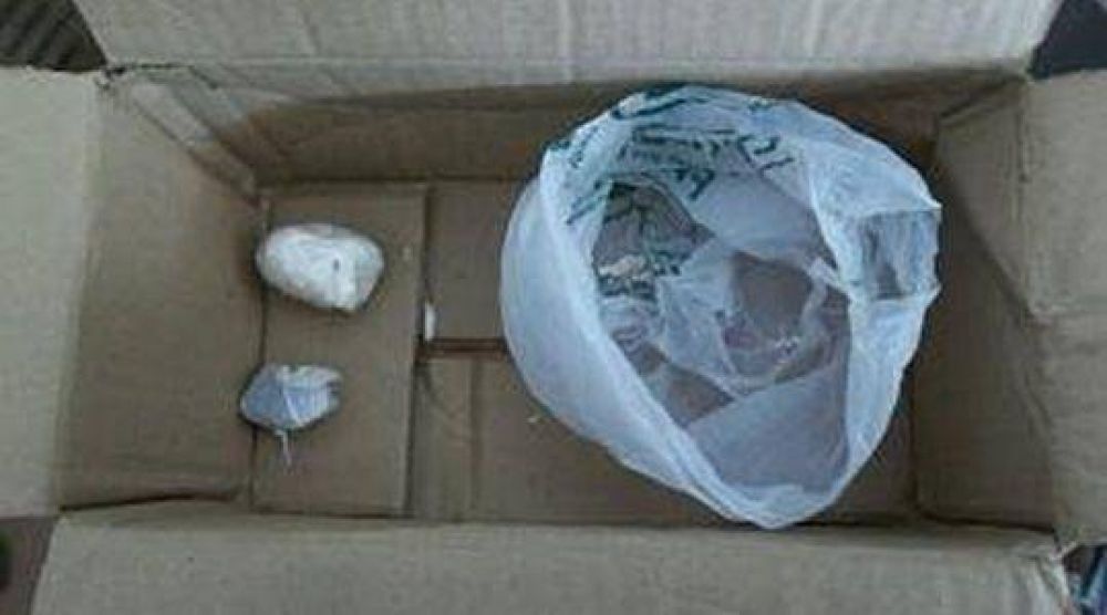 Secuestran droga en la Terminal de �mnibus