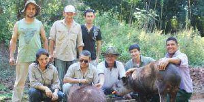 Rescatan un ejemplar de tapir en la localidad formose�a El Espinillo