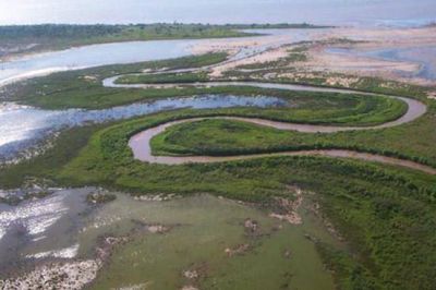 Procesan al responsable de Fidensa por contaminaci�n del r�o Sal�