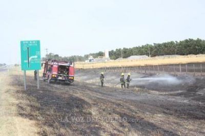 Un rayo inici� el incendio en un campo