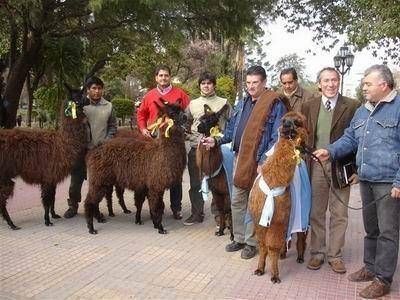 Vargas Aignasse, el interventor