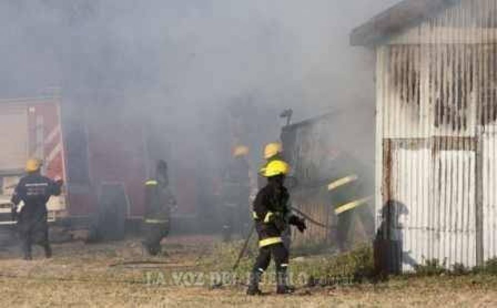 Los bomberos apagaron catorce incendios en un d�a