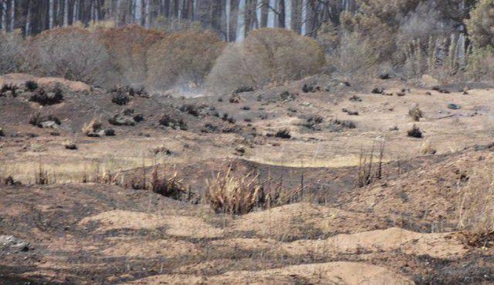 Desde el lunes se reabre el Vivero en Claromeco