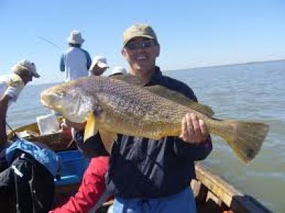 Destacan la pesca de buenos ejemplares de corvinas en Pehuen C�