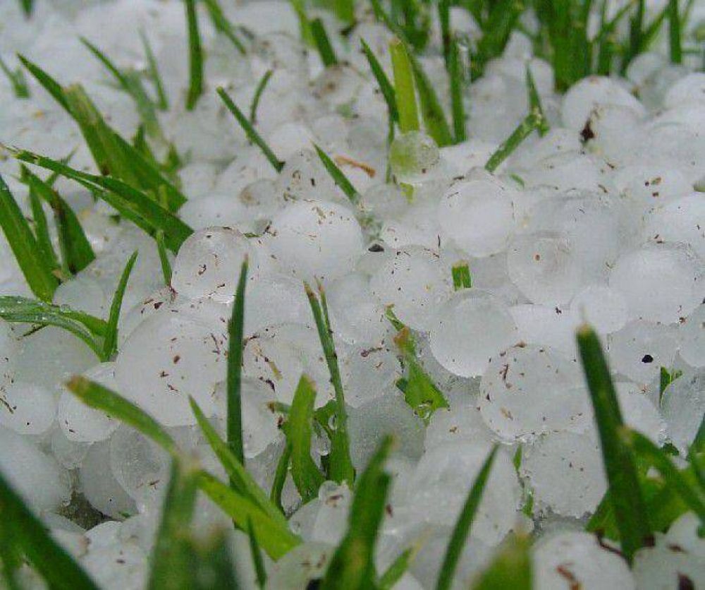 Durante el fin de semana, 14 tormentas afectaron zonas cultivadas de nuestra provincia