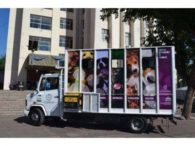Esterilizar�n gratis a perros y gatos en Guaymall�n