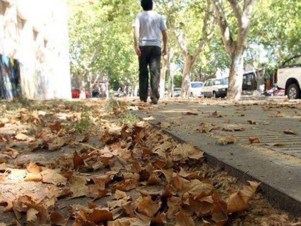 Se "adelant�" el oto�o en San Rafael y hay una gran una preocupaci�n por el estado del arbolado p�blico
