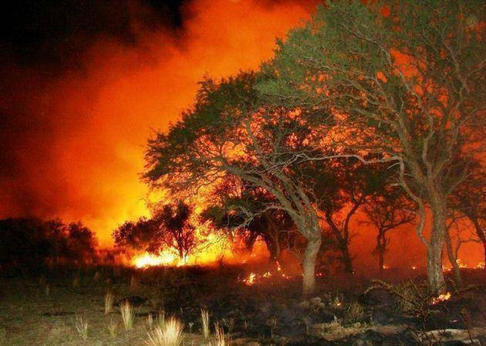 Fuego en Chacharramendi: ya son 100 mil las hect�reas quemadas