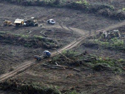 Duro reclamo por desmontes que afectan posesiones criollas