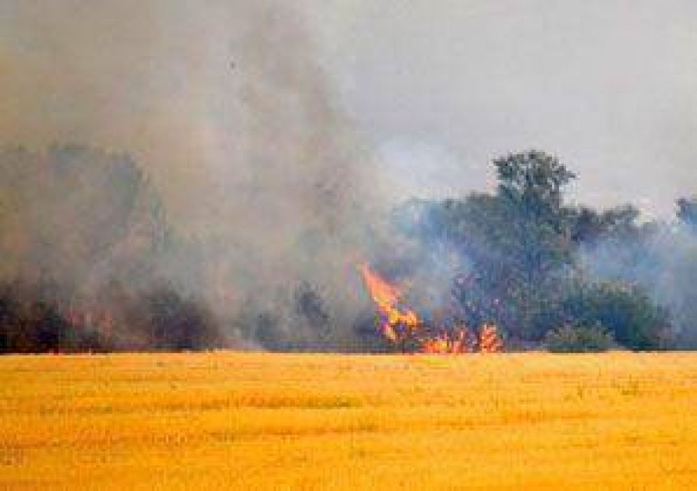 Nuevo incendio afecta a 15.000 has. de campos cercanos a Tornquist
